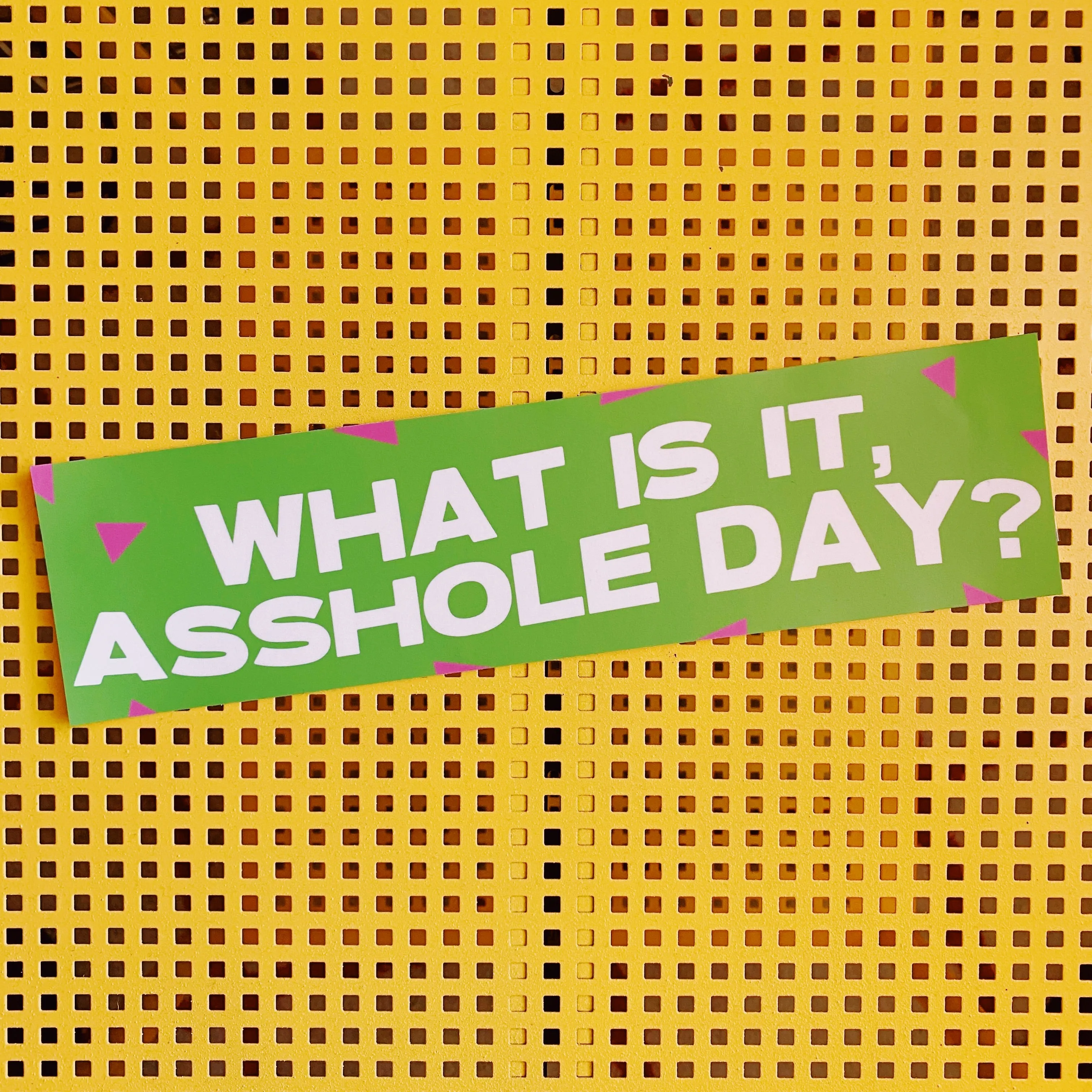 10 Things I Hate About You What Is It, A**hole Day? Bumper Sticker