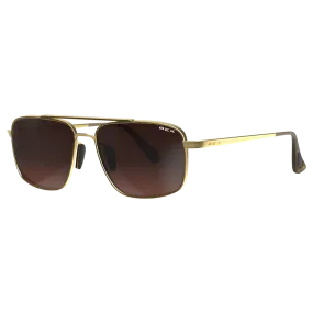 ACCEL GOLD/BROWN/SILVER SUNGLASSES