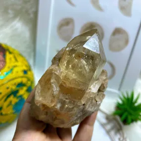 Gorgeous Natural Citrine Kundalini Elestial Phantom Cluster Specimen~Locality: Congo